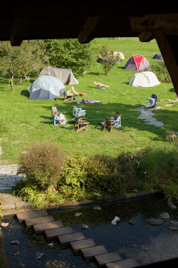 Isaac Shapiro | Meetings in Truth